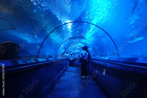 Obraz Tourists walk through a glass tunnel to see fish in Ocean Aquarium.  