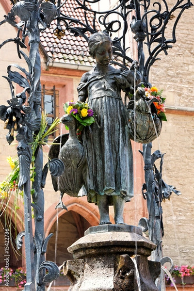 Obraz Gooseiesel Göttingen