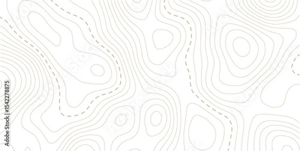 Obraz Abstract seamless pattern with lines and stylized height of the topographic contour in lines and topo graphic map design. Topology, Cartography or terrain path concept