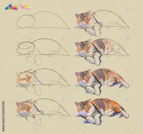Fototapeta Page shows how to learn to draw from life sketch of the domestic cat. Creation step by step painting with pastel chalks. Educational page for artists. Hand drawn vector illustration.