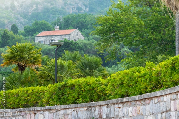 Fototapeta Waterfront park in Sveti Stefan Montenegro mangrove hedge, trees and mountains in the background. Vegetation of the Adriatic coast
