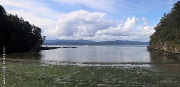 Obraz Tranquil bay on British Columbia coast