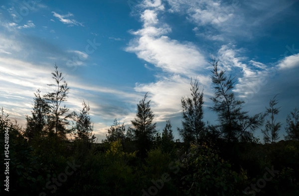 Obraz Dramatic cloudscape with silhouetted trees in the foreground at early dusk