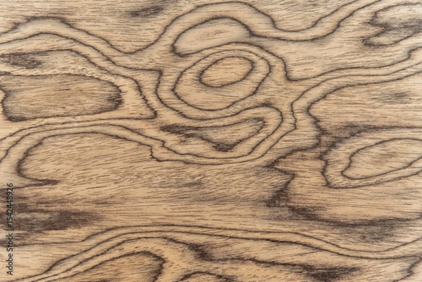 Fototapeta Walnut veneer surface with soft grain wood texture