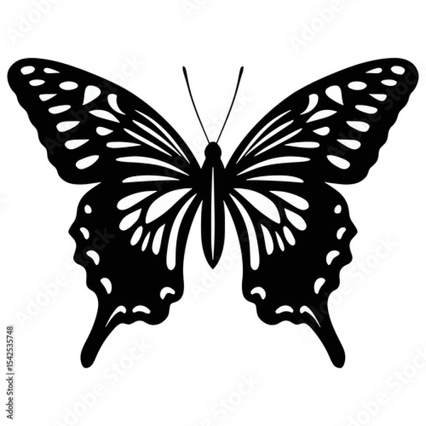 Obraz Butterfly silhouette vector, decorative insect with detailed wings