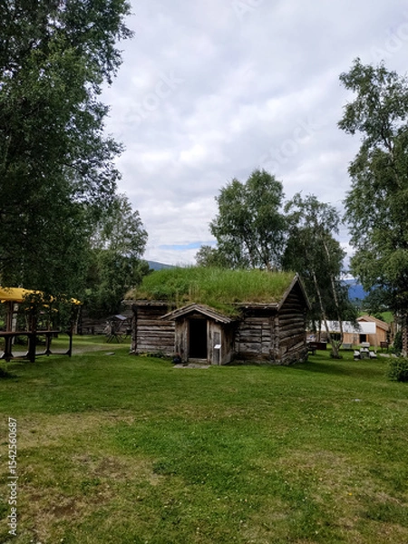 Obraz Traditional Norwegian houses with grass-covered roofs in a rural mountain area.