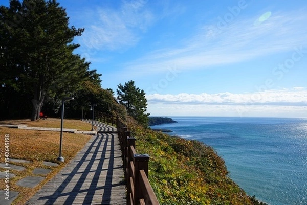 Obraz fine walkway in the seaside cliff