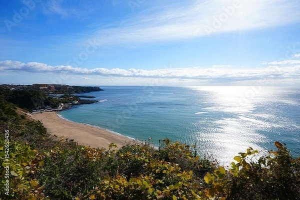 Obraz fine coast line and sparkling sea