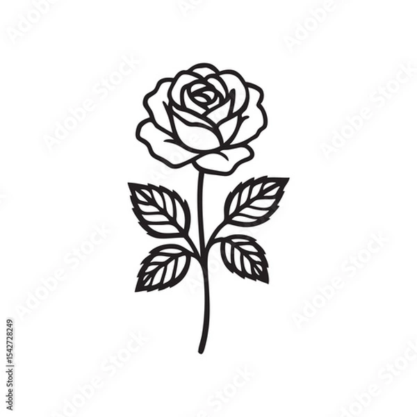 Obraz rose vector illustration