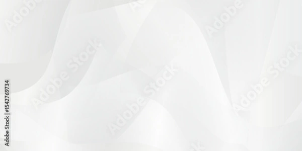 Fototapeta Abstract white and gray background. smooth abstract background, blurred pattern. Light pale vector background.