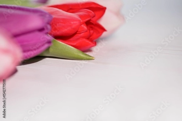 Obraz Three colorful tulip buds are resting on white painted wood tabletop in flat design illustration
