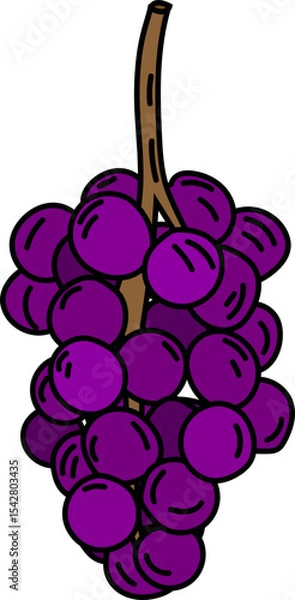 Obraz Hand Drawn Doodle of Grapes, Wine Bottles, Glasses, Corkscrews and Barrels – Winery and Vineyard Themed Vector Set