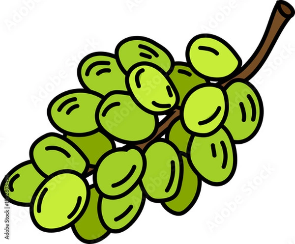 Obraz Hand Drawn Doodle of Grapes, Wine Bottles, Glasses, Corkscrews and Barrels – Winery and Vineyard Themed Vector Set