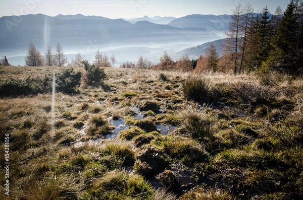 Fototapeta Morast auf der Alm