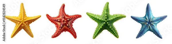 Obraz Collection set of starfish isolated on white and transparent background, cut out png