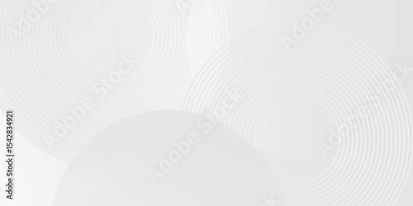 Obraz White geometric abstract background overlap layer on bright space with lines effect decoration. Modern graphic design element circles style concept for banner, vector illustration