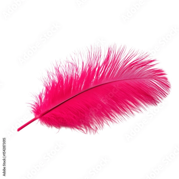 Fototapeta pink feather on a transparent or white isolated background. png