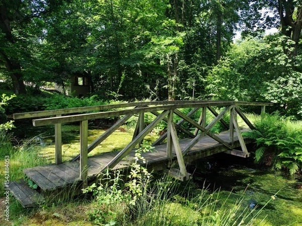 Obraz wooden bridge in the forest