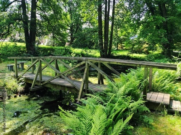 Obraz bridge in the forest