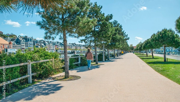 Fototapeta Walking along a scenic promenade by the riverside with tall trees and charming buildings in the background on a sunny day