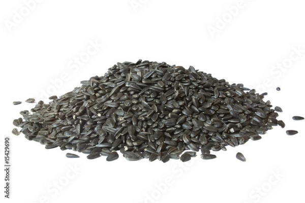 Obraz A pile of sunflower seeds