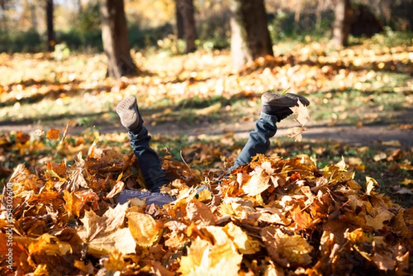 Obraz Happy little boy diving into pile of golden maple leaves in beautiful autumn park on warm sunny autumn day