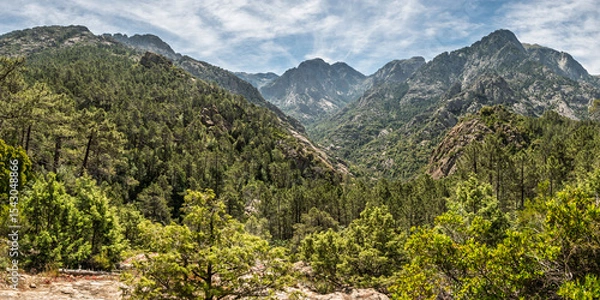 Fototapeta View of Punta Petrinaccia and Punta Pittinaghia and the mountains and pine forest at Bonifatu on the Mediterranean island opf Corsica
