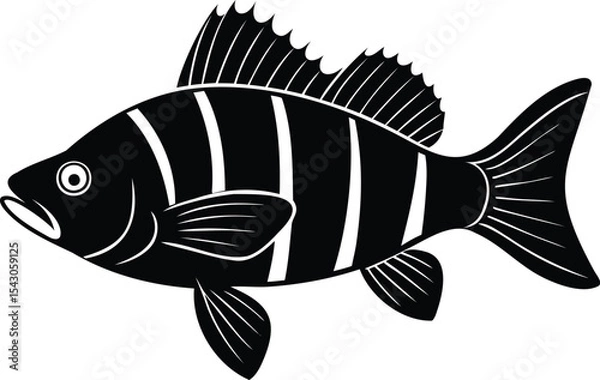 Fototapeta A minimalist black and white illustration of a freshwater perch fish vector