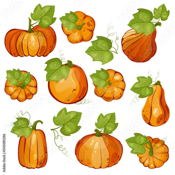 Fototapeta Pumpkins with leaves for autumn harvest,Halloween,Thanksgiving design.For greeting cards, posters, flyers, banners for fall festivals and farmers’ markets, packaging,website, game icons, textile