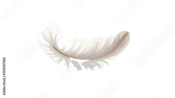 Obraz Soft and delicate white feather with fine details, isolated on transparent background—ideal for elegant, spiritual, or nature-themed design projects.
