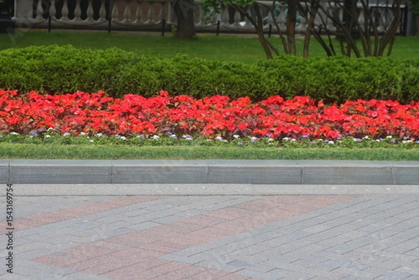 Fototapeta Gray curb on background of flowers, minimalism, path in the park, 2