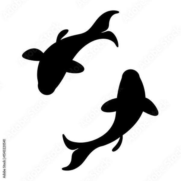 Fototapeta Elegant Koi Fish Duo in Silhouette, Swimming in a Circular Motion