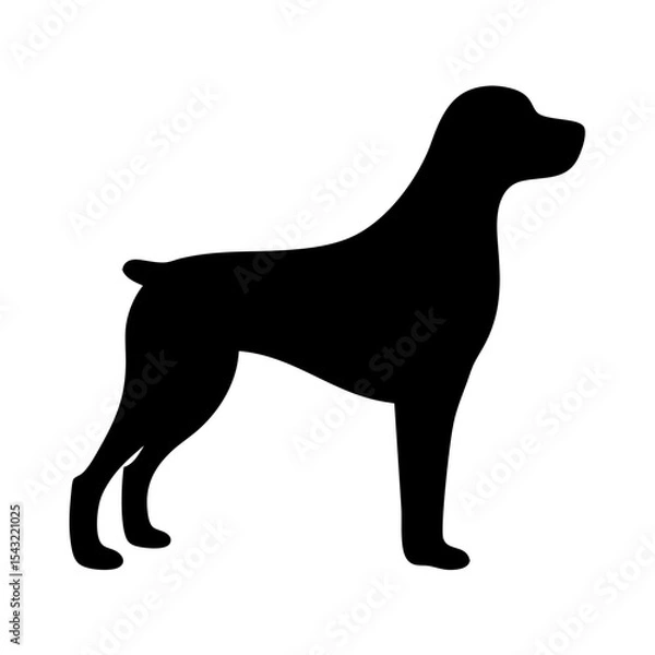 Fototapeta Silhouette of a standing German Shorthaired Pointer dog breed profile view