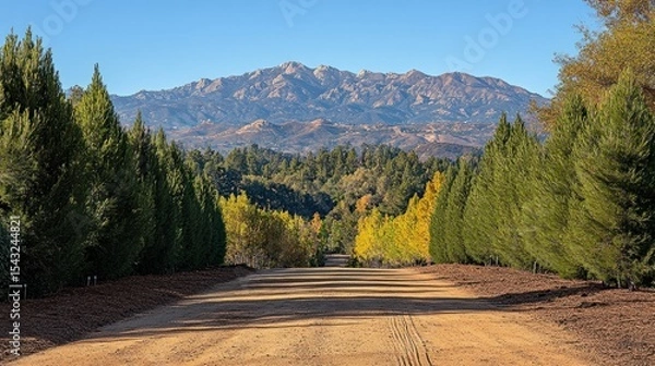 Fototapeta Mountain vista framed by autumnal trees along a dirt road