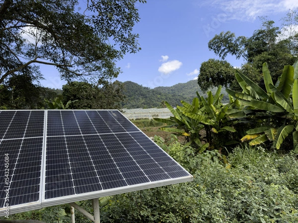 Fototapeta Solar Panel in Tropical Farm with Green Trees and Mountain Background