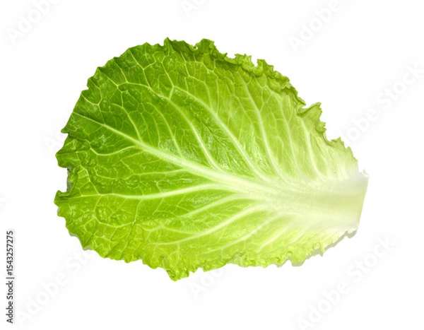 Fototapeta chinese cabbage leaf isolated on transparent background, png