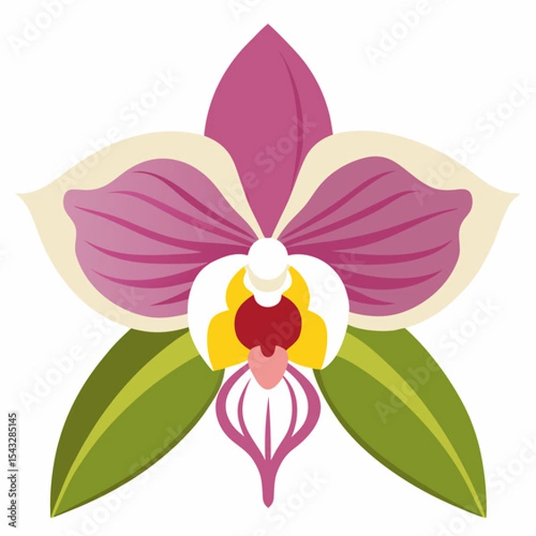 Fototapeta orchid isolated on white background
