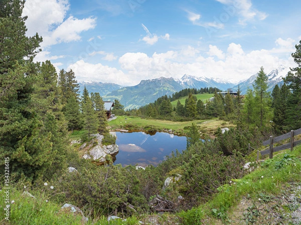Obraz Small pond surrounded by fir trees on the Penken mountain, Zillertal Alps, Austria