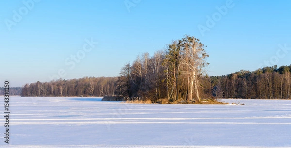 Fototapeta Panoramic View of an Island with Bare Trees on a Frozen Snow-Covered Forest Lake at Sunrise