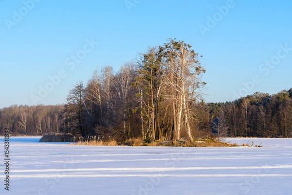 Fototapeta Island with Bare Trees on a Frozen Snow-Covered Forest Lake at Sunrise