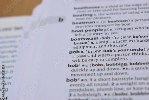 Fototapeta Close Up Of English Dictionary Page With Word - Bob