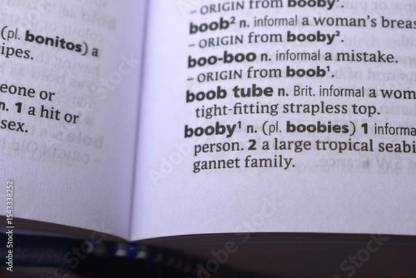 Fototapeta Close Up Of English Dictionary Page With Word - Booby
