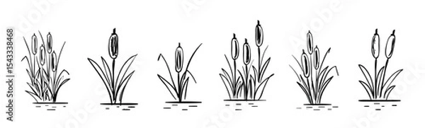 Obraz Outline swamp reed plant in water, wetland cattail, lake grass, hand drawn isolated illustration., Hand Drawn Cattail Botanical Vector in Line Art, Cattail Hand Drawn Vector Line vector illustration