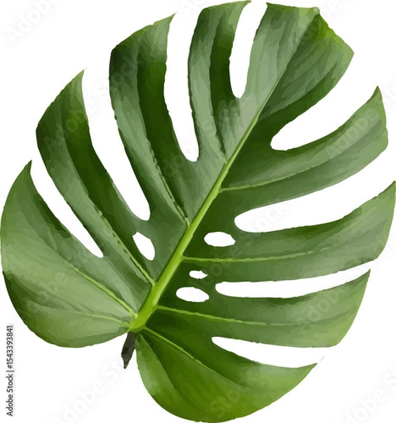 Obraz eggplant with leaves