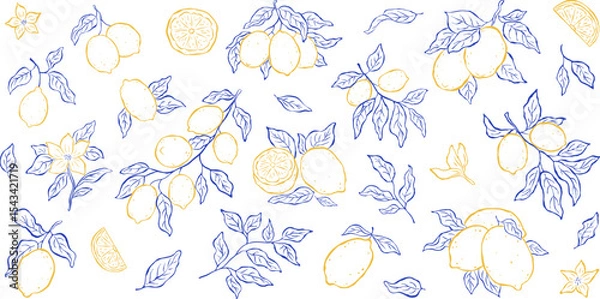 Fototapeta Set of isolated elements of lemons, branches, leaves and flowers on white backdrop. Sketch italian style. Flat vector illustration. Mediterranean life. Perfect for card, poster, print, cover