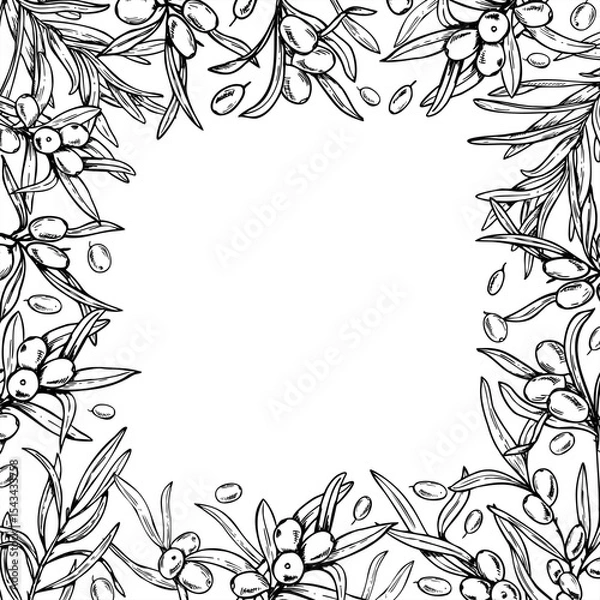 Fototapeta Square monochrome frame with sea buckthorn branches vector illustration, empty space for text. Etching drawing of healthy wild berries for cosmetic packaging, beauty product label, organic skincare