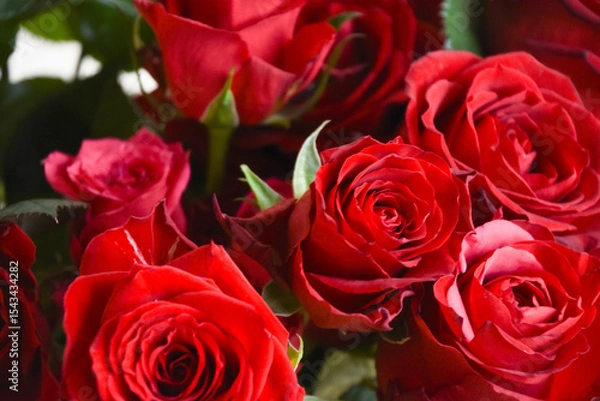 Fototapeta 赤いばら