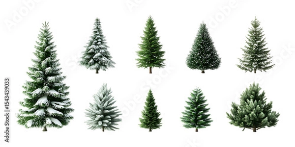 Fototapeta Pack Collection Collection of Realistic Evergreen Trees Perfect for Festive Designs set against transparent background