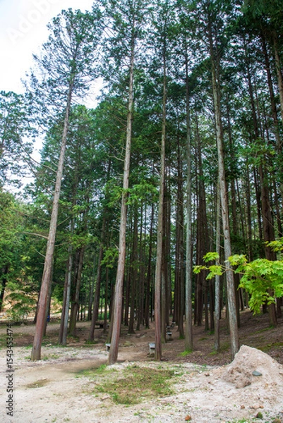 Obraz 순천 송광사