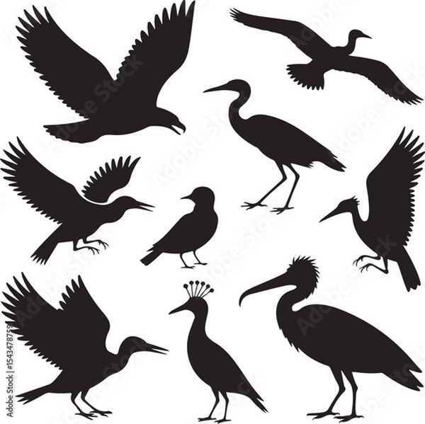 Obraz Pelican Standing on Pier Silhouette

Flying Pelican Over Water Vector Design

Pelican with Open Beak Silhouette Art

Coastal Pelican Resting Scene Vector

Pelican in Flight Silhouette Illustration